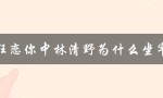 狂恋你中林清野为什么坐牢（狂恋你作者坐牢原因是什么）