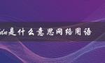 ddn是什么意思网络用语（什么是diy网络用语）