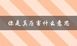 你是真厉害什么意思（你厉害在哪里）