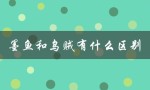 墨鱼和乌贼有什么区别（墨鱼和乌贼的区别是什么）