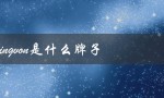 kingvon是什么牌子（kingvon指纹锁品牌）