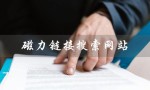 磁力链接搜索网站（什么是磁力泵）