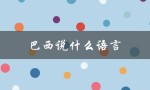 巴西说什么语言（巴西主要使用哪种语言）