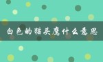 白色的猫头鹰什么意思（白猫头鹰意义是什么）