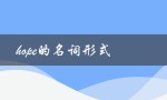 hope的名词形式（hope可数吗）