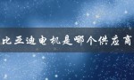 比亚迪电机是哪个供应商（谁是比亚迪电机供应商）