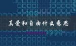 真爱和自由什么意思（真爱和自由是什么）