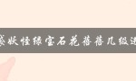 口袋妖怪绿宝石花蓓蓓几级进化（花蓓蓓几级进化）