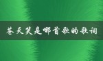 苍天笑是哪首歌的歌词（描绘爱情的经典之作）