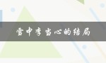 雪中李当心的结局（李当心结局如何）