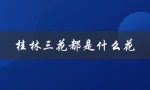 桂林三花都是什么花（揭秘桂林的代表性花卉）