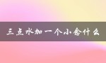 三点水加一个小念什么（三点水加四个又是什么）