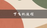下飞机流程（日本留学下飞机怎么走）