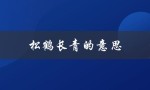 松鹤长青的意思（松鹤长青还是长春）