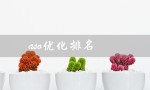 aso优化排名（ASO优化排名的因素有哪些）