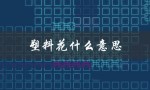 塑料花什么意思（塑料花在王者荣耀中有何意义）