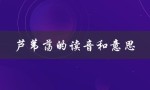 芦苇荡的读音和意思（芦苇荡读音及意思）
