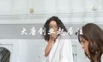 大唐创业起居注（大唐创业起居注可信吗）