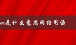 wor是什么意思网络用语（wor网络用语是什么）