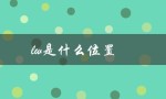 lw是什么位置（lw手表是什么牌子）