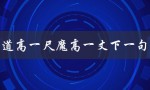 道高一尺魔高一丈下一句（道高一尺魔高一丈的下一句是什么）