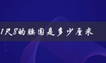 1尺8的腰围是多少厘米（1尺8腰围是26还是27）