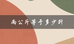 两公斤等于多少升（两公斤水等几升）