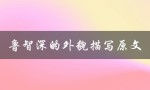 鲁智深的外貌描写原文（鲁智深的外貌描写是什么）