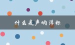 什么是声呐浮标（声呐浮标可重复使用吗）