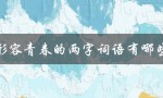 形容青春的两字词语有哪些（青春年少的词语两字是什么）