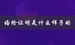 婚检证明是什么样子的（婚检报告长什么样）