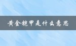 黄金铠甲是什么意思（女人说的铠甲是什么）