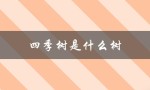 四季树是什么树（四季树的寓意是什么（15个字符））