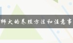毛狮犬的养殖方法和注意事项（打造健康快乐的宠物生活）