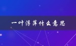 一叶浮萍什么意思（一叶浮萍归何处）