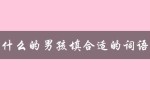 什么的男孩填合适的词语（适合填什么样的男孩）