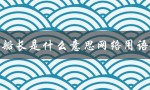 船长是什么意思网络用语（什么是双标（返回：双标是什么意思网络用语））