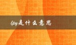 lpy是什么意思（lpy网络是什么）