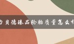 力贝德臻品轮胎质量怎么样（力贝德轮胎是否正规厂家）