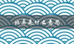 北鼻是什么意思（老北鼻是什么意思）