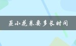 蒸小花卷要多长时间（蒸小花卷多长时间最佳）