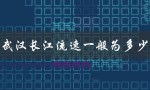 武汉长江流速一般为多少（武汉长江中心楼盘是什么）