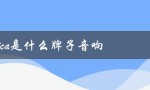 Praktica是德国的一个音响品牌。
