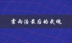 霍雨浩最后的武魂（霍雨浩的武魂融合技是什么）