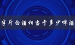 半斤白酒相当于多少啤酒（啤酒几瓶等于一斤白酒）