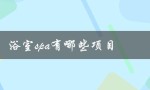 浴室spa有哪些项目（Spa有哪些项目）