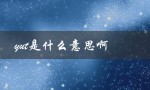 yut是什么意思啊（探索yut的来源和含义）