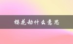 樱花劫什么意思（武大樱花劫是什么）