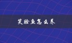 笑脸鱼怎么养（如何养活笑脸鱼）