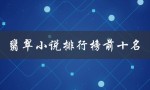 翡翠小说排行榜前十名（翡翠小说免费阅读吗）